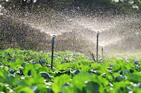 Agricultural Sprinkler